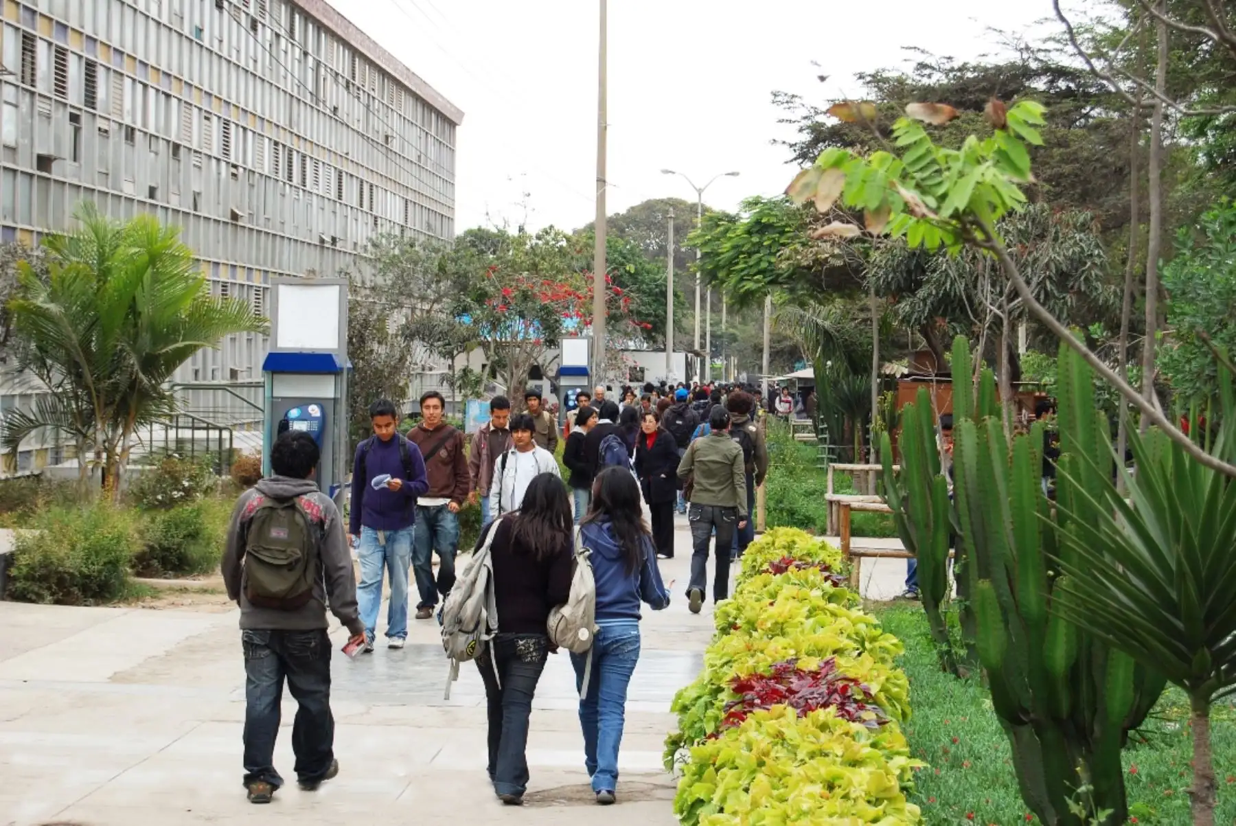 San Marcos: aprueban reglamento de prevención y sanción de hostigamiento sexual. Foto: ANDINA/Difusión.