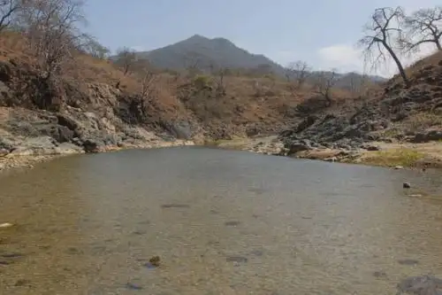"En la coyuntura que estamos viviendo, debemos empezar a valorar la integridad de los ecosistemas y entender que lo que enfrentamos tiene como origen el manejo inadecuado de ellos", manifestó el viceministro de Desarrollo Estratégico de los Recursos Naturales del Ministerio del Ambiente (Minam) ANDINA/Minam