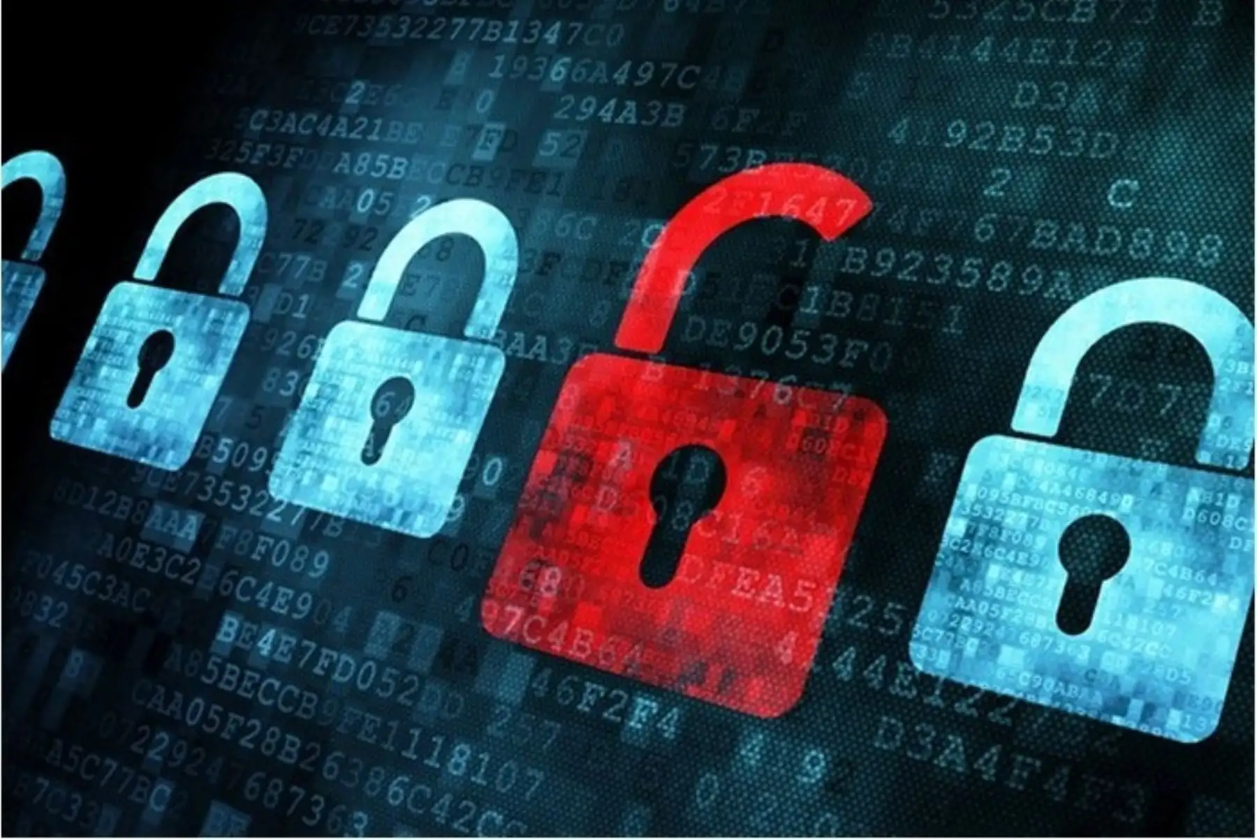 La investigación denominada “Operacion In(ter)ception” contó con la colaboración de dos de las compañías europeas afectadas,