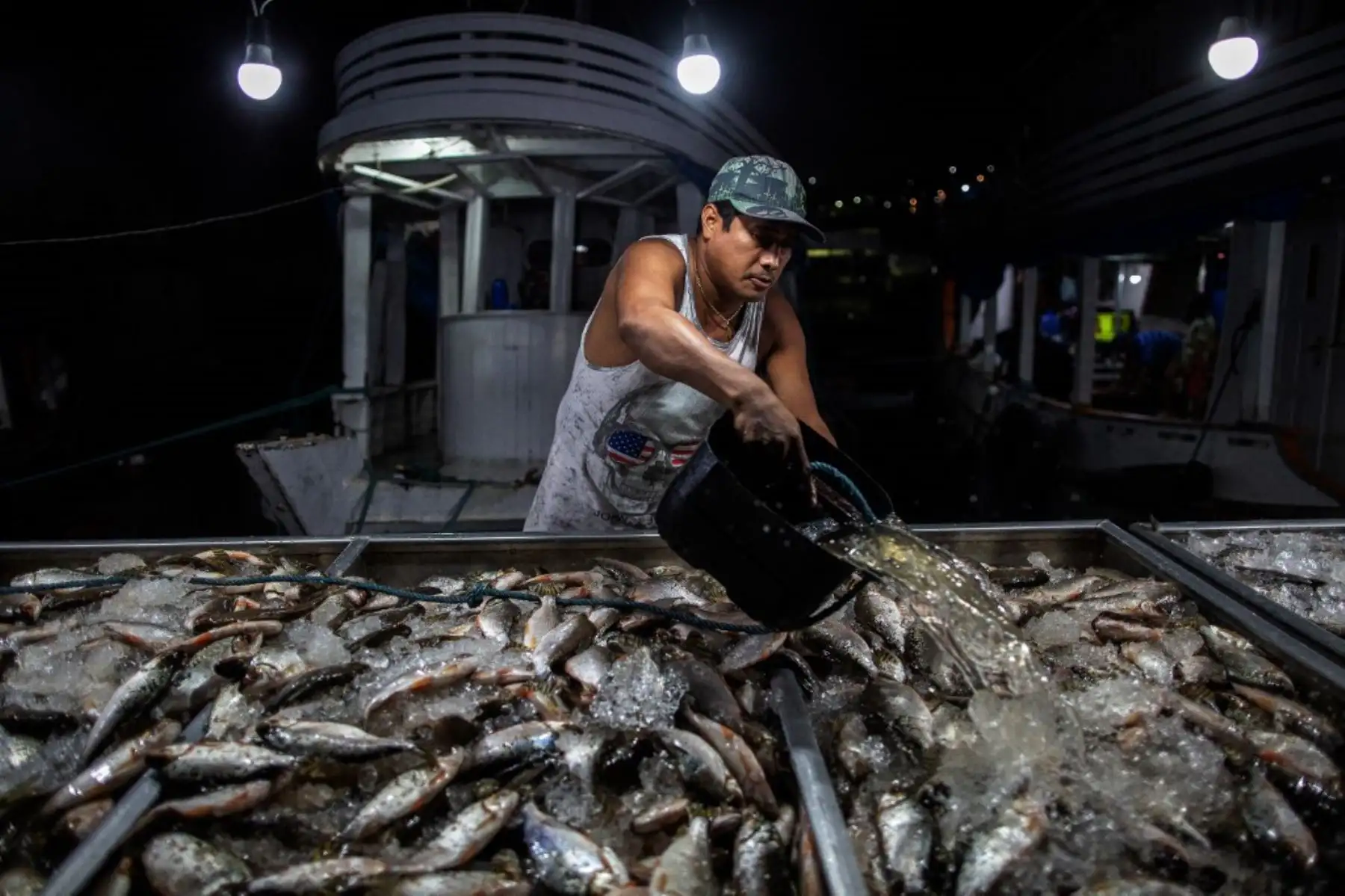 Un vendedor vierte agua sobre los peces para mantenerlos frescos en el Mercado Municipal de Panair en Manaus, estado de Amazonas, Brasil. Foto: AFP