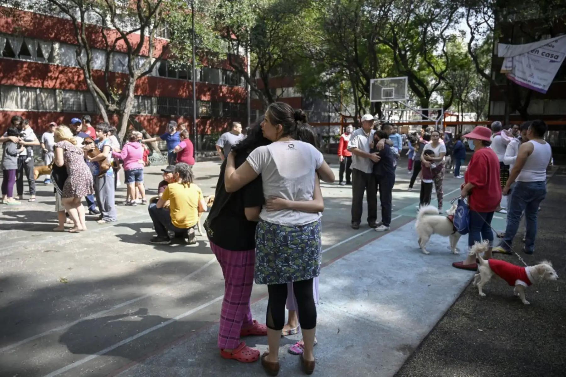 Las personas permanecen fuera de los edificios en la Ciudad de México durante un terremoto  en medio de la nueva pandemia de coronavirus.
Foto: AFP