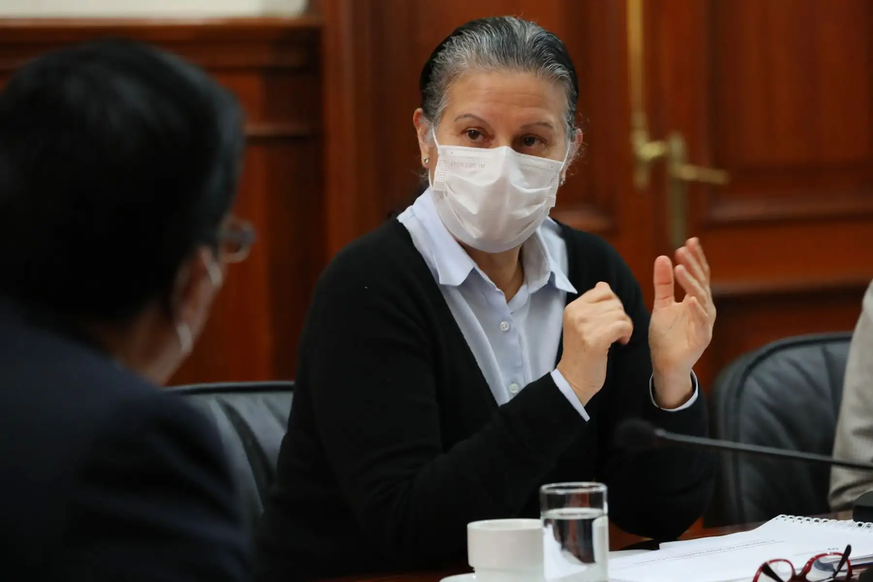 Socorro Heysen, jefa de la Superintendencia de Banca, Seguros y AFP (SBS). Foto: ANDINA/Difusión