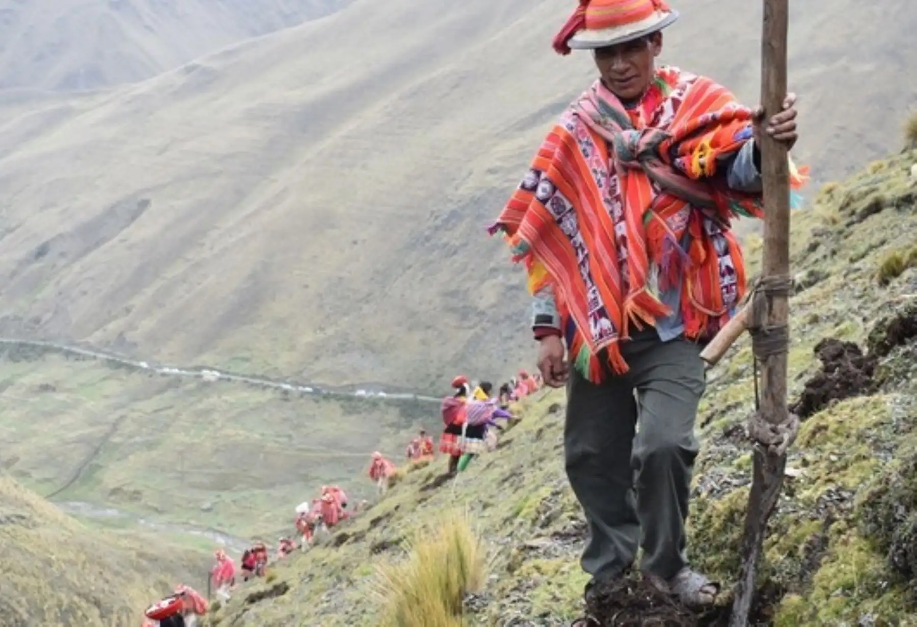 Conoce el importante rol de la agrobiodiversidad en la reactivación económica pospandemia de covid-19 en el marco del Día del Campesino.