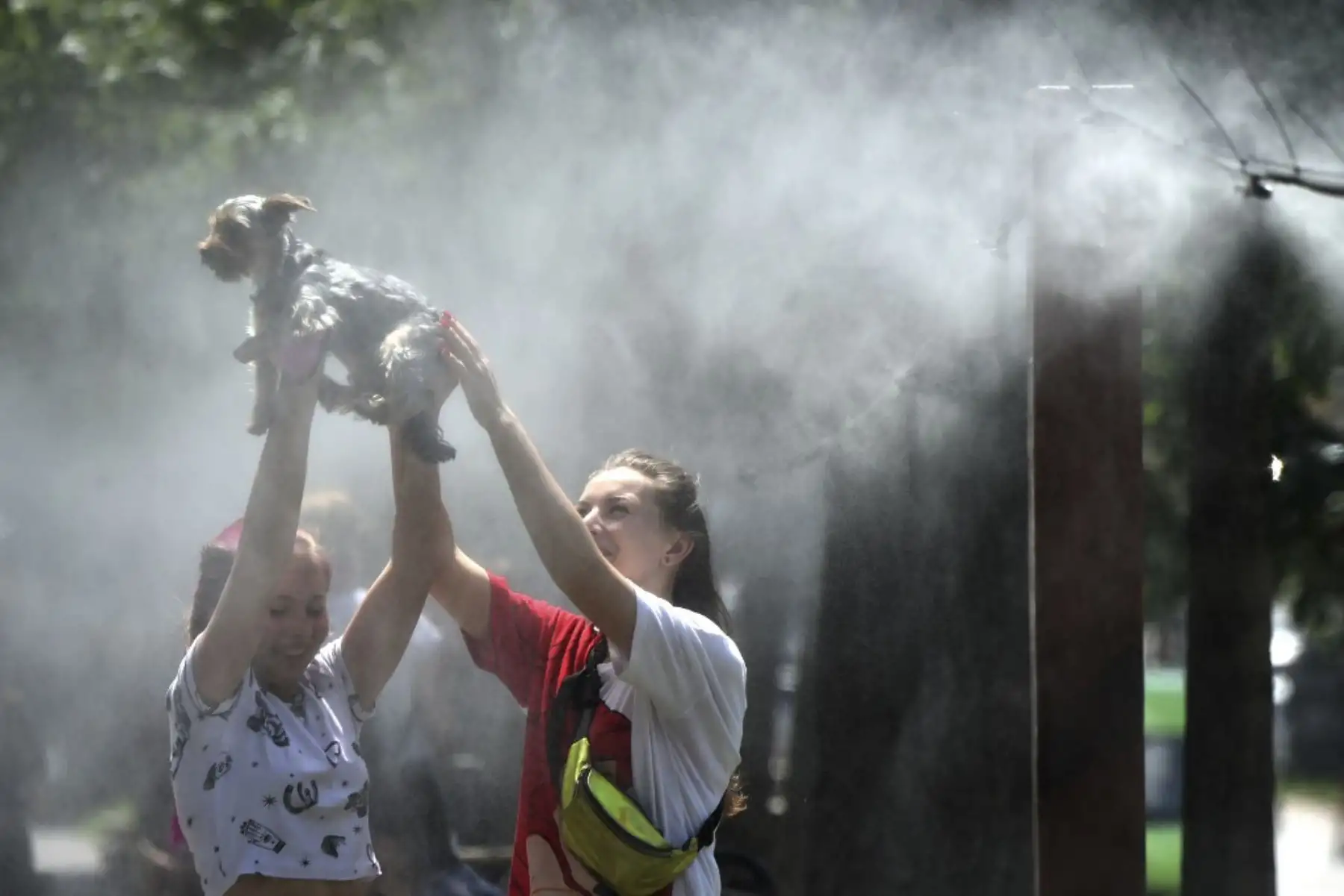 Las niñas se refrescan a sí mismas y a su perro con marcos de rocío de agua colocados a lo largo de la calle central de la capital ucraniana de Kiev durante una ola de calor.Foto:AFP