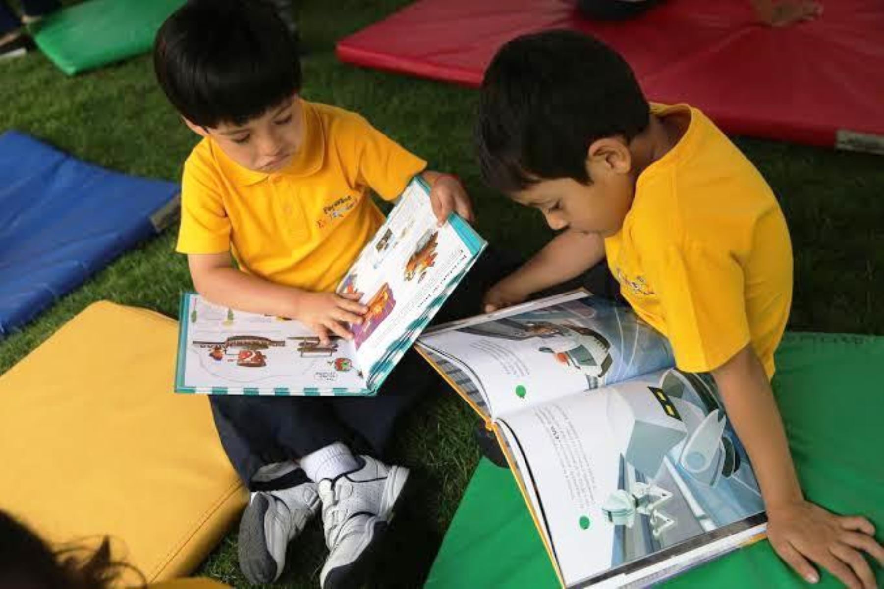 Minedu lanzará el 1 de julio estrategia para promover lectura entre escolares. Foto: ANDINA/Difusión.
