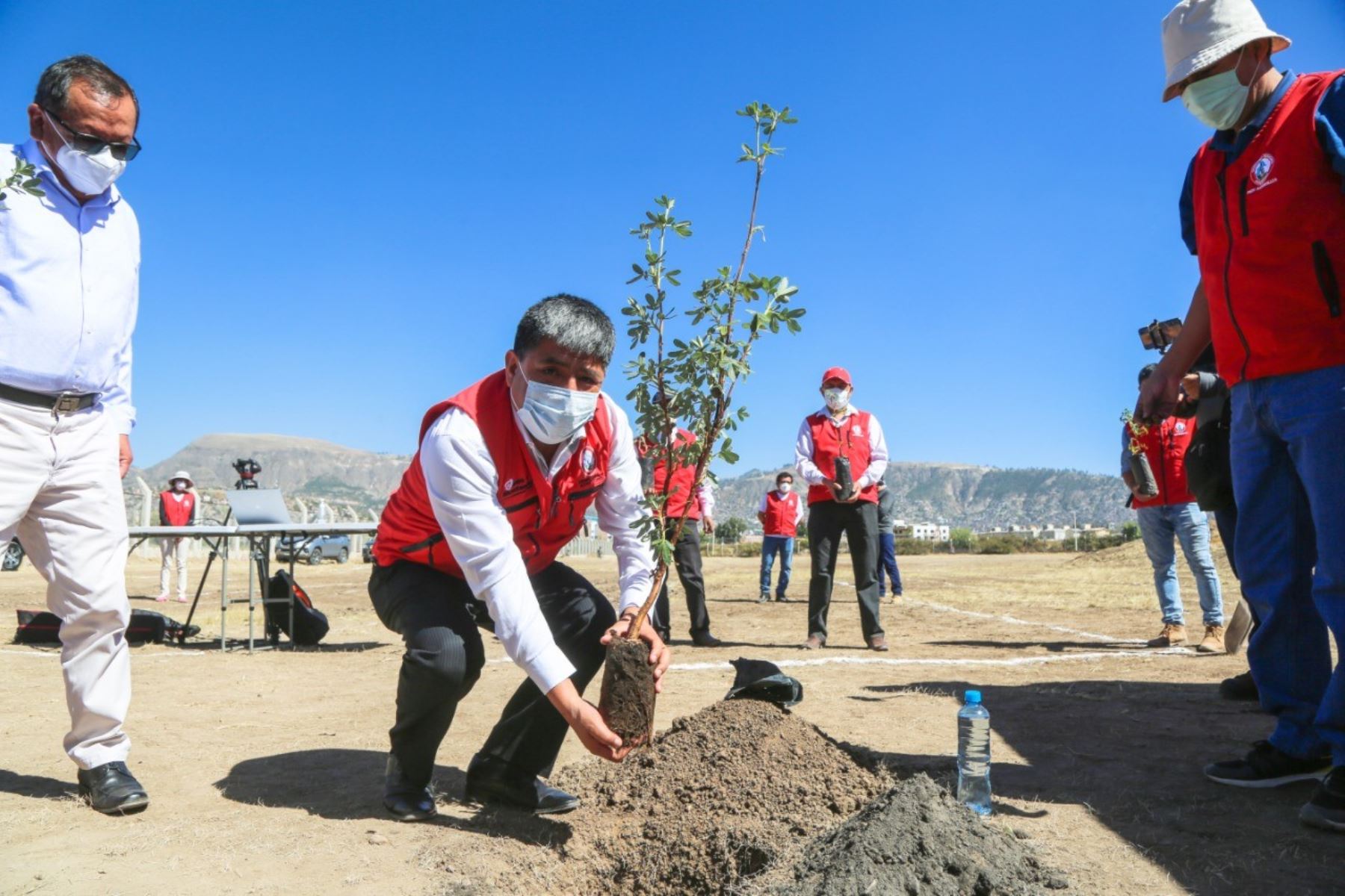 Ayacucho implementa vivero Bicentenario para producir más de 1 millón de plantas nativas y medicinales. ANDINA/Difusión