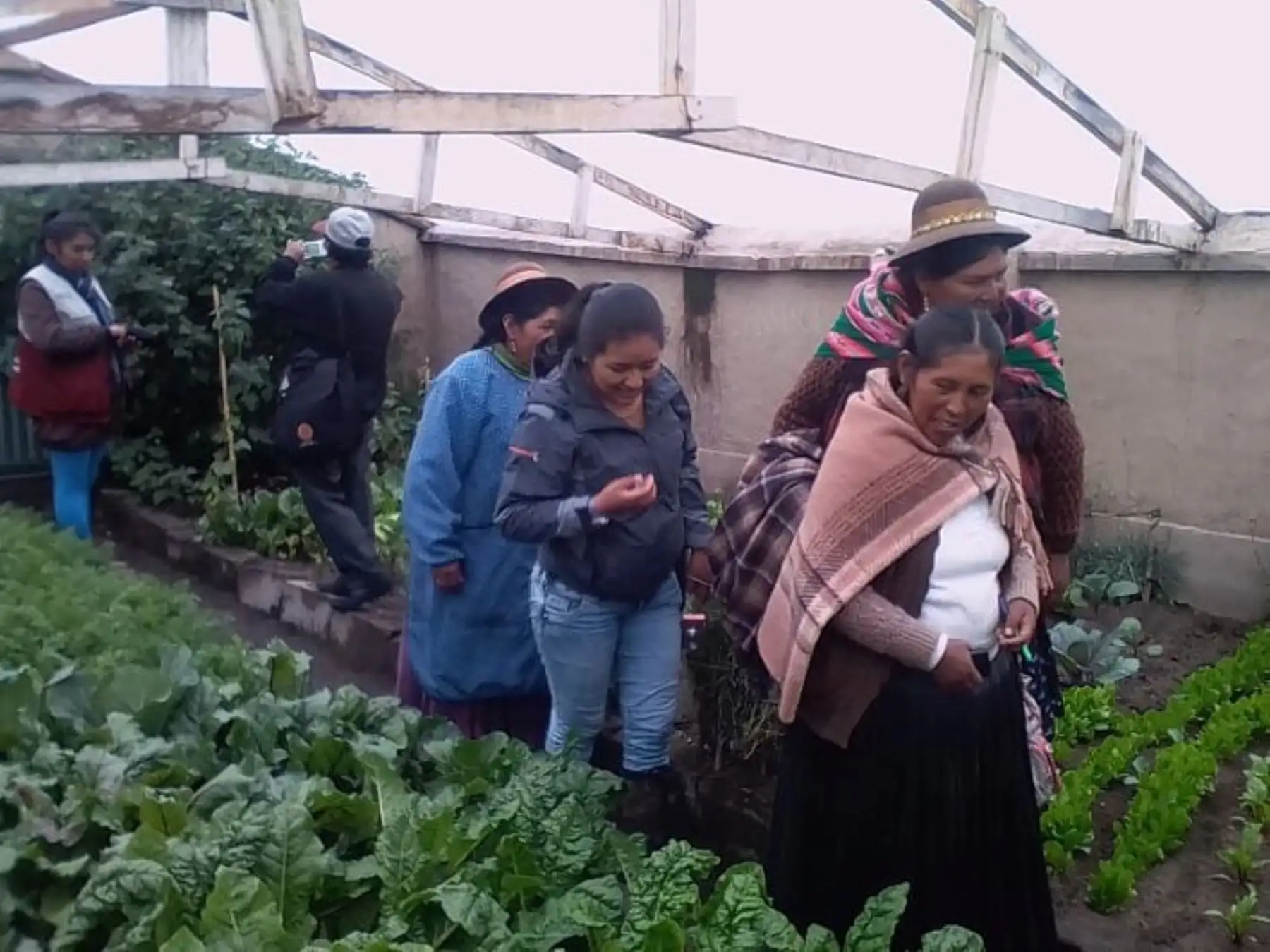 Con más de S/ 26 millones de inversión, Foncodes incorporará a familias de zonas rurales de Puno en diversos proyectos productivos.