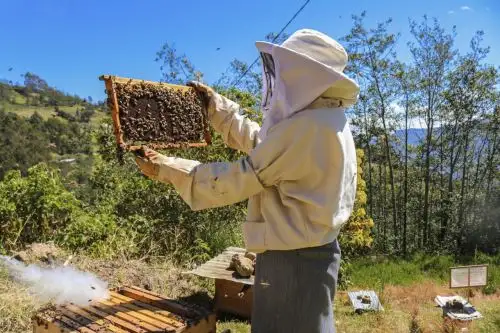 Avanzar Rural es un proyecto de apoyo financiero a los pequeños productores asociados que se llevará a cabo en los próximos cinco años con el financiamiento del FIDA y el Estado peruano. Foto: ANDINA/Difusión