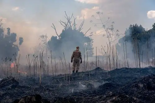 El mes de junio marca el comienzo de la estación seca, y estas cifras sustentan las previsiones de los analistas de un año aún más devastador que 2019. Foto: AFP