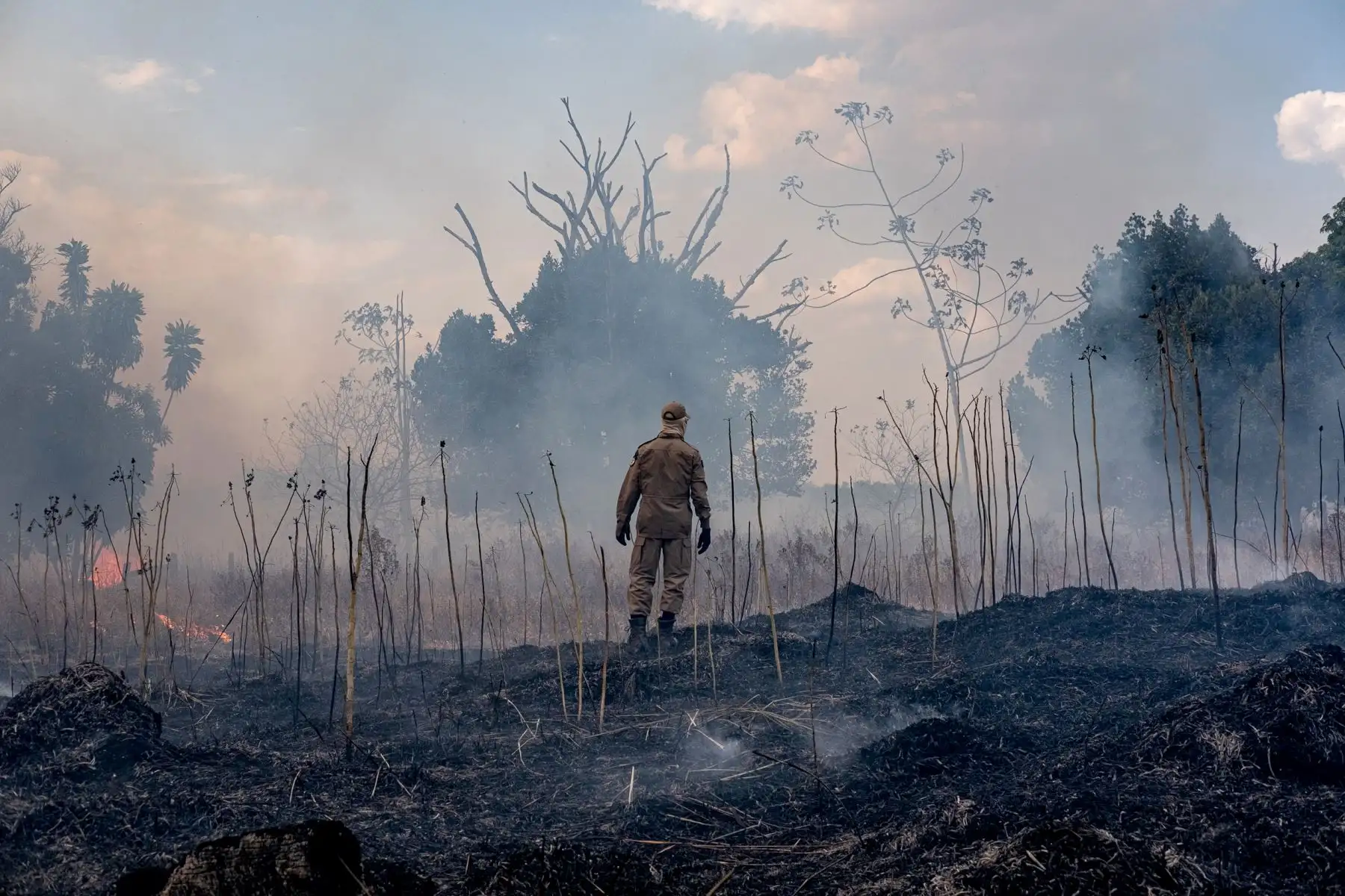 El mes de junio marca el comienzo de la estación seca, y estas cifras sustentan las previsiones de los analistas de un año aún más devastador que 2019. Foto: AFP