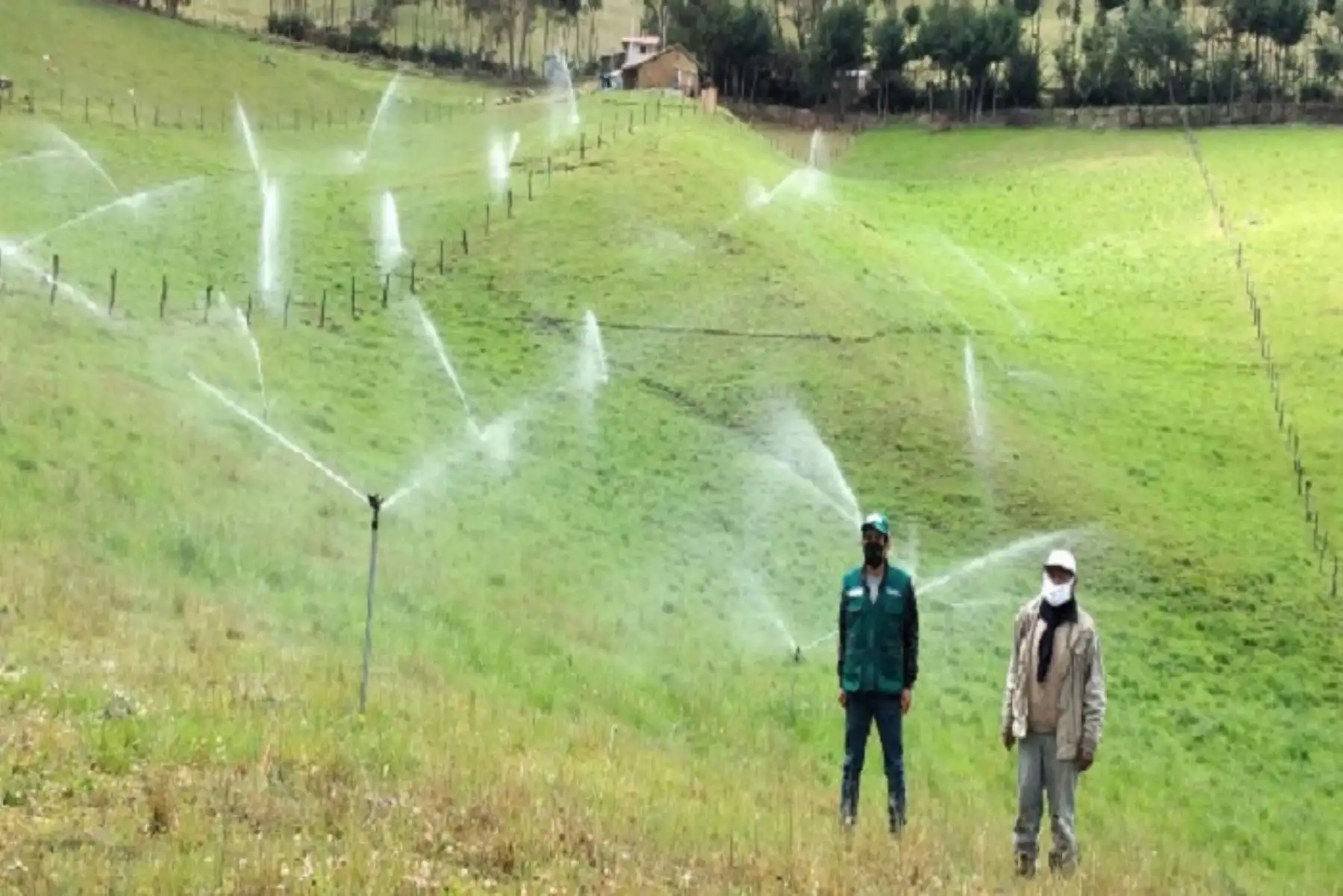 El Programa Subsectorial de Irrigaciones (PSI) –entidad adscrita al Minagri- se encargará de la ejecución de este moderno sistema de riego por aspersión que permitirá incrementar las áreas de siembra para el cultivo de quinua, en el marco de la reactivación económica iniciada por el Gobierno.