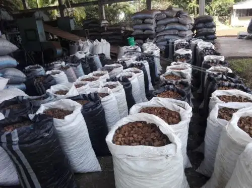 Asociación de indígenas de Madre de Dios exportarán 96 toneladas a EE UU.