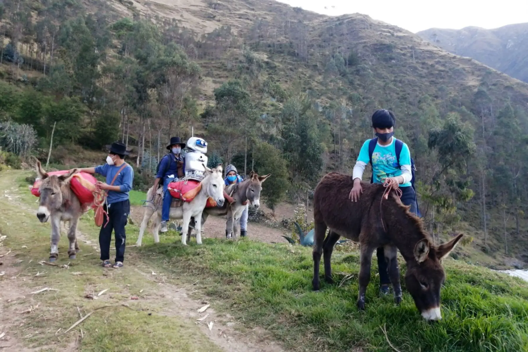Walter Velásquez Godoy es un ingenioso docente de ciencias y tecnología que construyó un robot para enseñar a sus alumnos que viven en comunidades alejadas del distrito de Colcabamba, región Huancavelica, en el ámbito del Vraem. ANDINA/Difusión