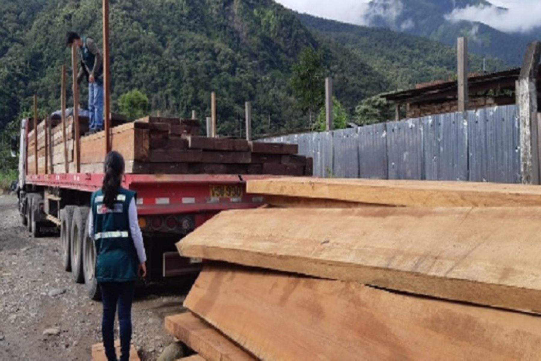 l vehículo que provenía de Madre de Dios hacia Arequipa fue intervenido en el distrito de San Gabán, provincia de Carabaya cuando transportaba madera de las especies misa, pashaco y guacamayo