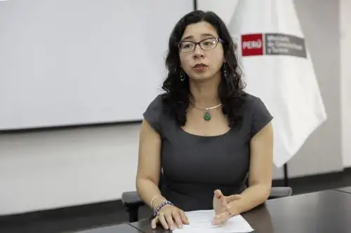 Las oficinas comerciales intensifican su labor de monitoreo, dijo la viceministra de Comercio Exterior, Sayuri Bayona.