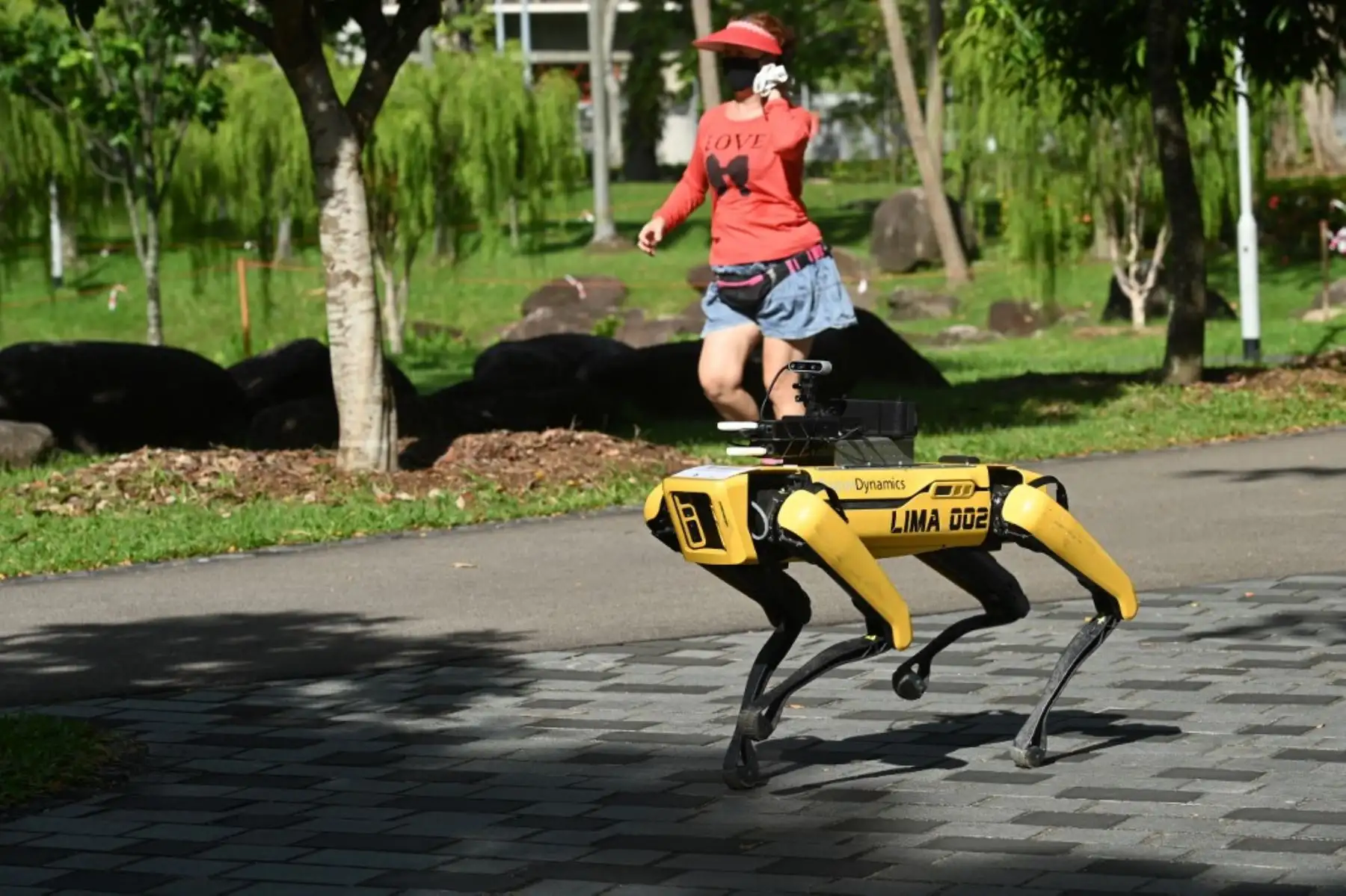 Una mujer pasa corriendo junto a un robot de cuatro patas llamado Spot, que transmite un mensaje grabado que recuerda a las personas que observen el distanciamiento seguro como medida preventiva contra la propagación del nuevo coronavirus COVID-19, en Singapur. Foto: AFP