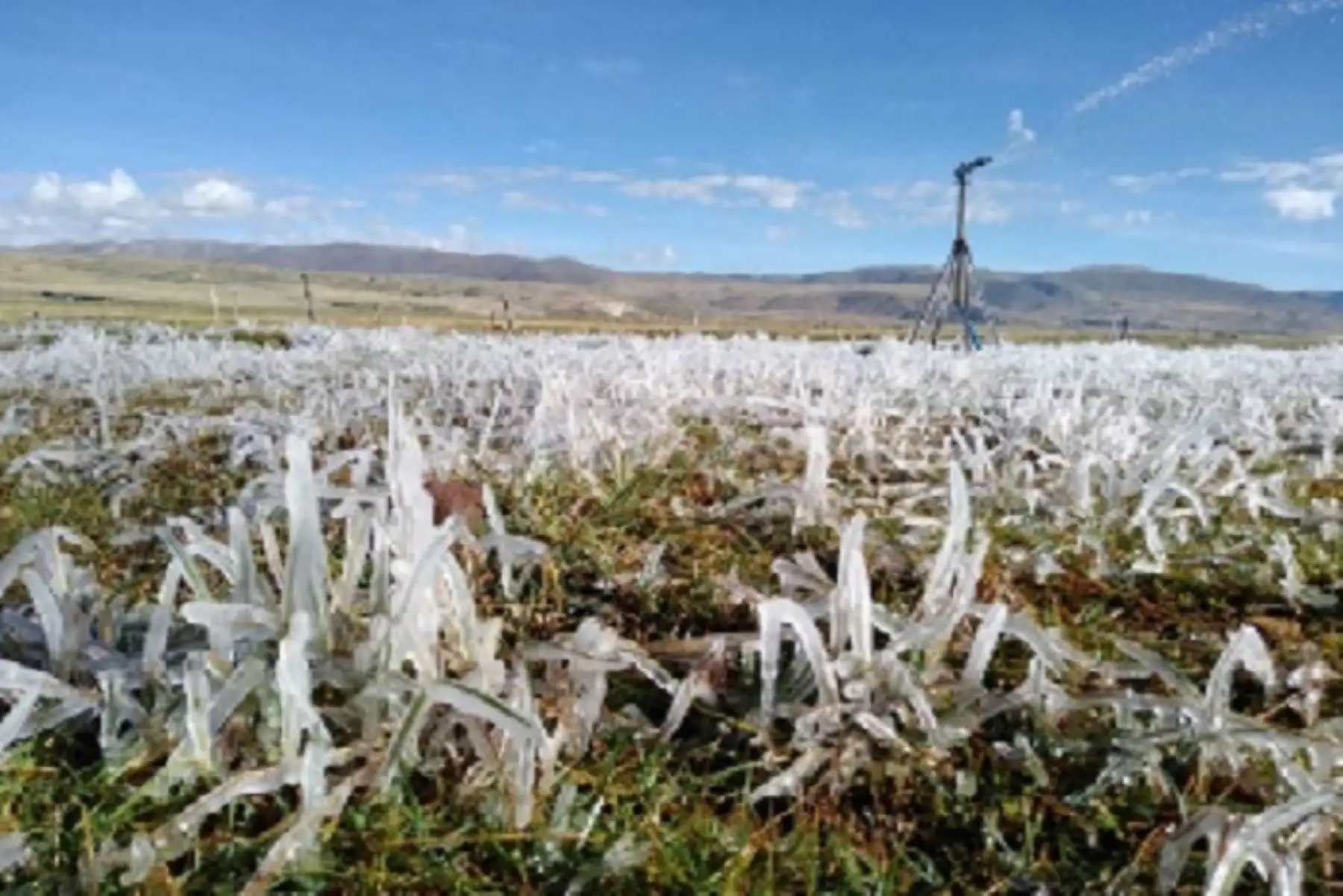 Durante la vigencia del aviso se espera la formación de escarcha y el incremento del viento con ráfagas superiores a los 35 kilómetros por hora en la tarde.