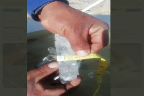 En Puno, los distritos con nivel de riesgo muy alto por el descenso de temperatura nocturna, comprenden una población expuesta de 54,110 habitantes y 31,138 viviendas particulares ocupadas con personas presentes,