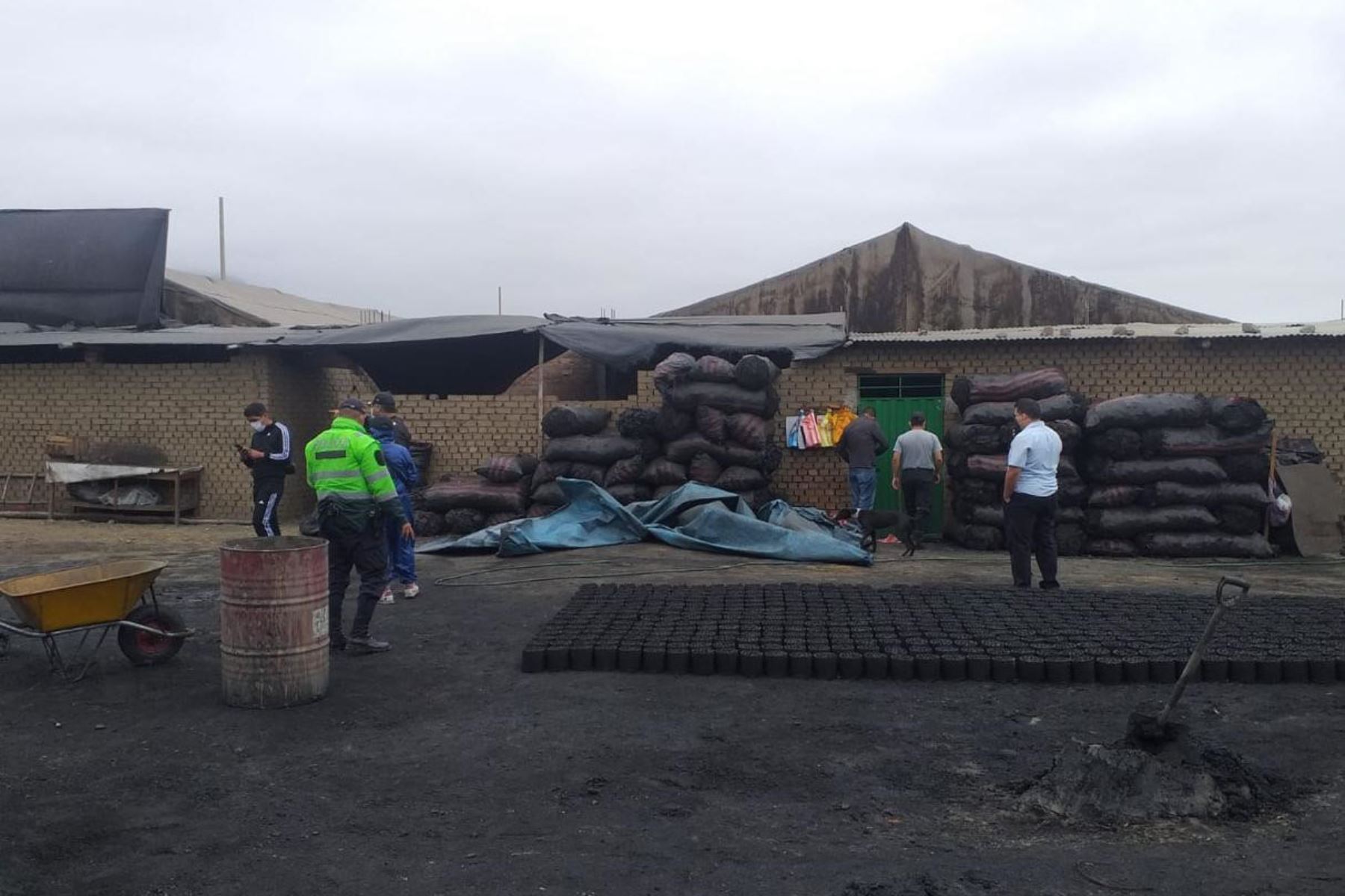 Autoridades de Trujillo (La Libertad) incautaron más de 30,000 kilos de carbón vegetal. Foto: ANDINA/Difusión