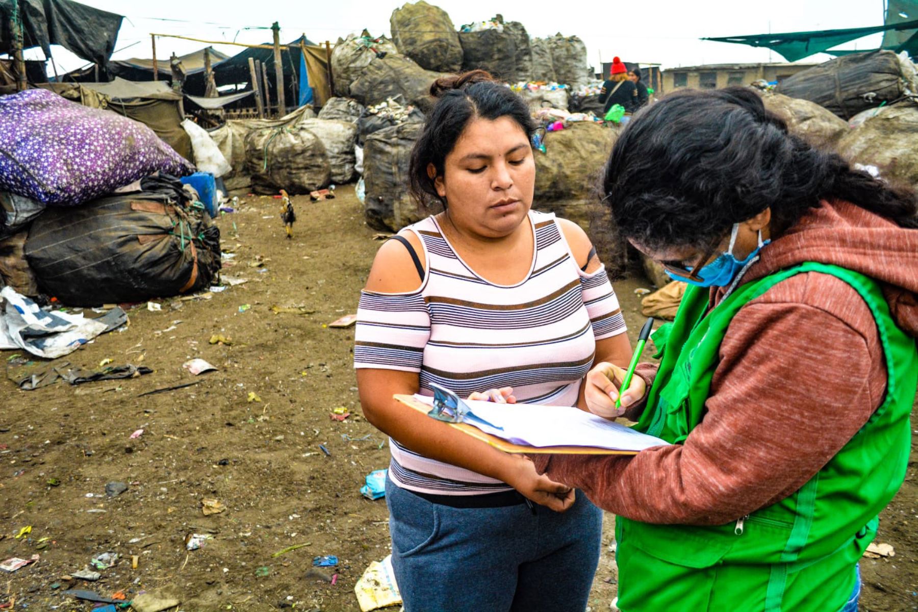 Empezó el censo de los recicladores del botadero El Milagro, en la provincia liberteña de Trujillo. Foto: ANDINA/Difusión