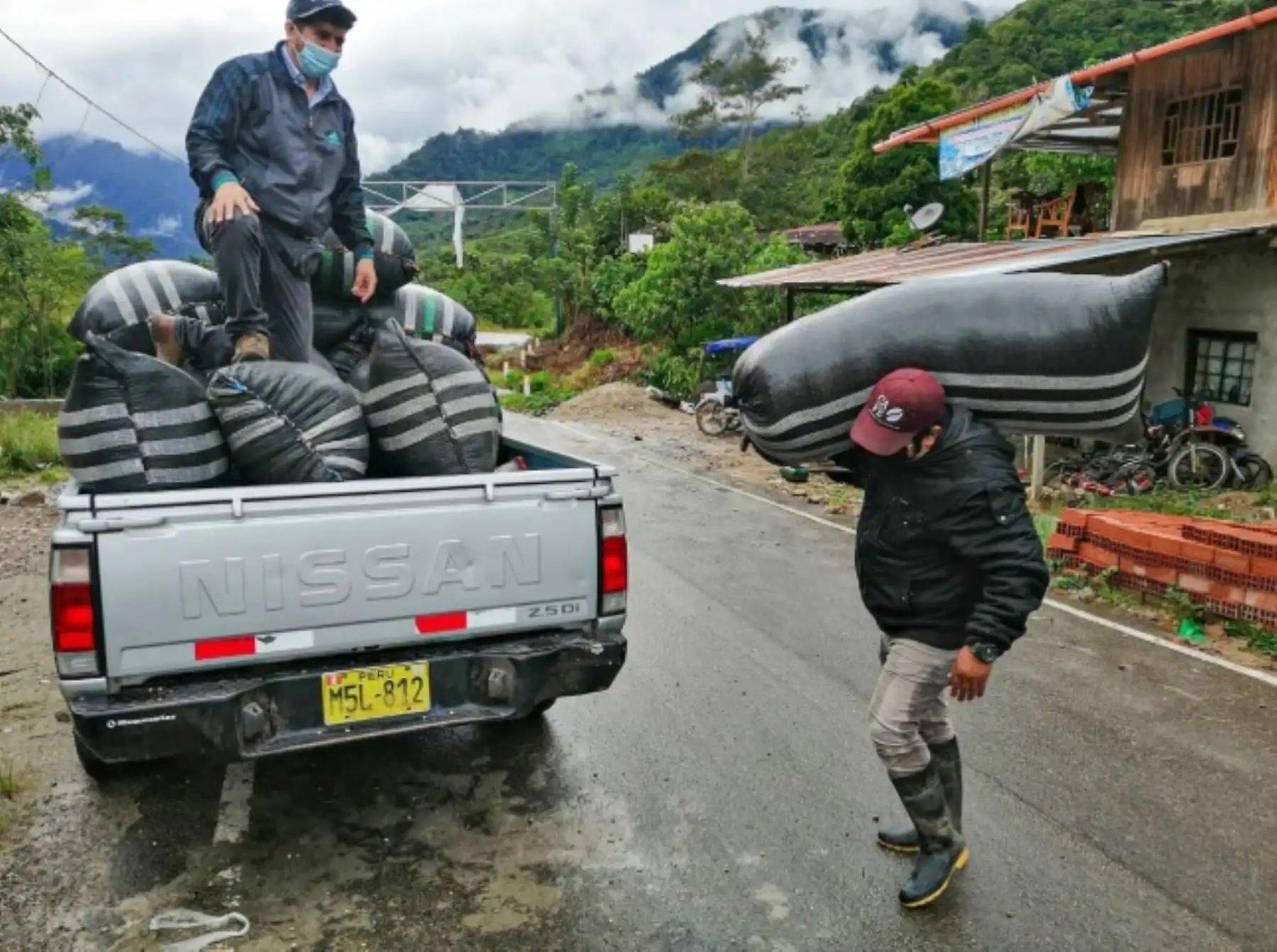 Productores cafetaleros de la zona de Desarrollo Alternativo de Tingo María, Tocache y Moyobamba, lograron vender en los meses de marzo, mayo y junio un total de 1,326 toneladas de café, gracias al apoyo de Alianza Café.