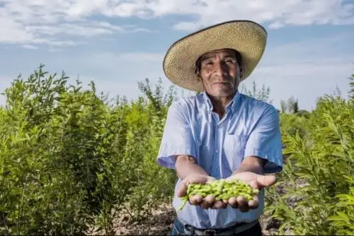 Agricultor. Foto: ANDINA/Difusión
