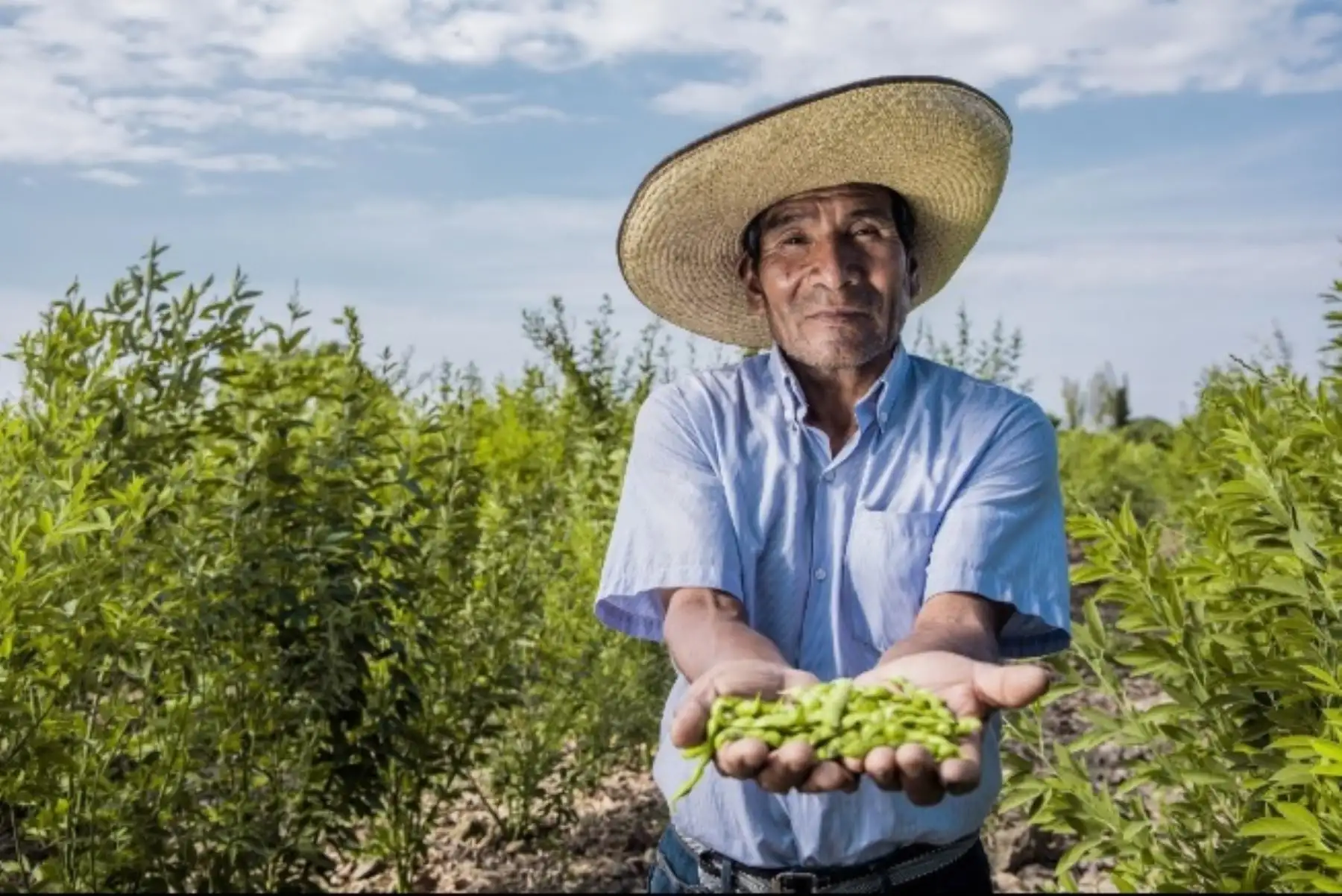 Agricultor. Foto: ANDINA/Difusión