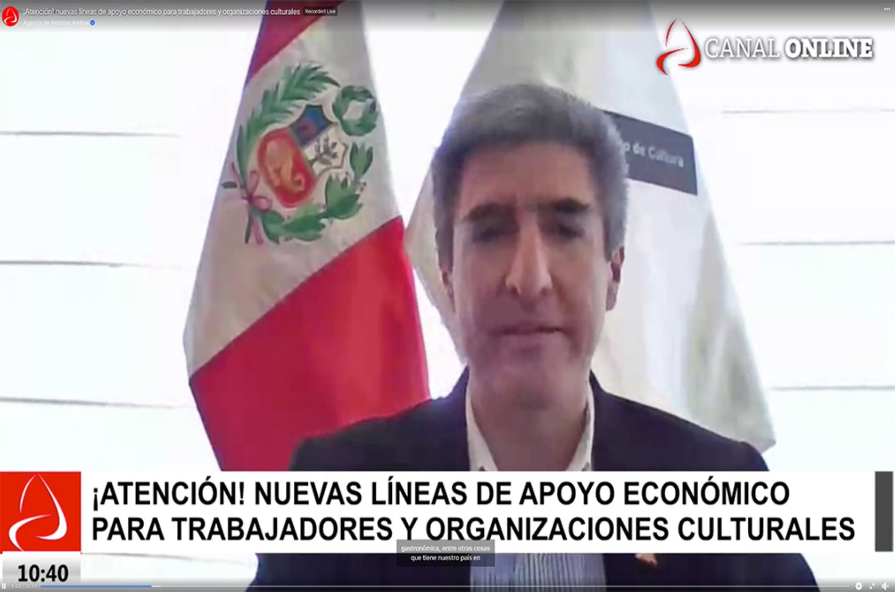 Ministro de Cultura, Alejandro Neyra. Captura TV.