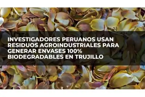 En la región La Libertad se promueve la economía circular mediante la utilización de residuos de peladilla del espárrago, semilla de palta, pepa y cáscara de mango, el orujo de la uva, y el uso de nanotecnología. Foto: ANDINA/Difusión