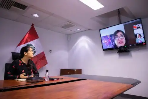 Directora ejecutiva del Proyecto Especial Bicentenario, Gabriela Perona, participa en una reunión técnica mundial sobre voluntariado y Agenda 2030.