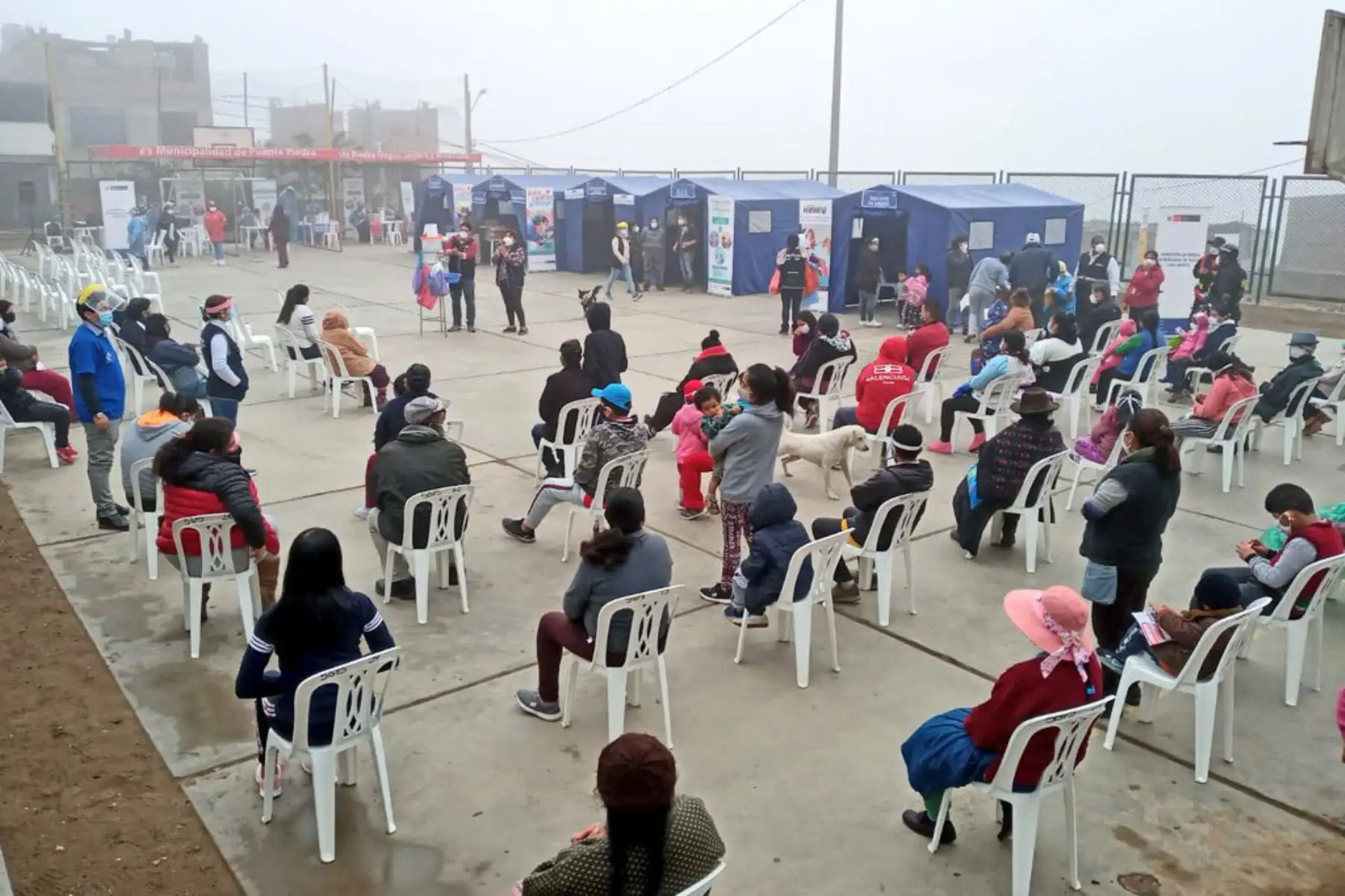 Equipos del Minsa brindan vacunación contra la influenza y neumococo a más de 500 personas en la zona de Lomas de Zapallal en Puente Piedra. Además, realizaron tamizaje de anemia y entrega de suplementos para niños.
Foto: Minsa