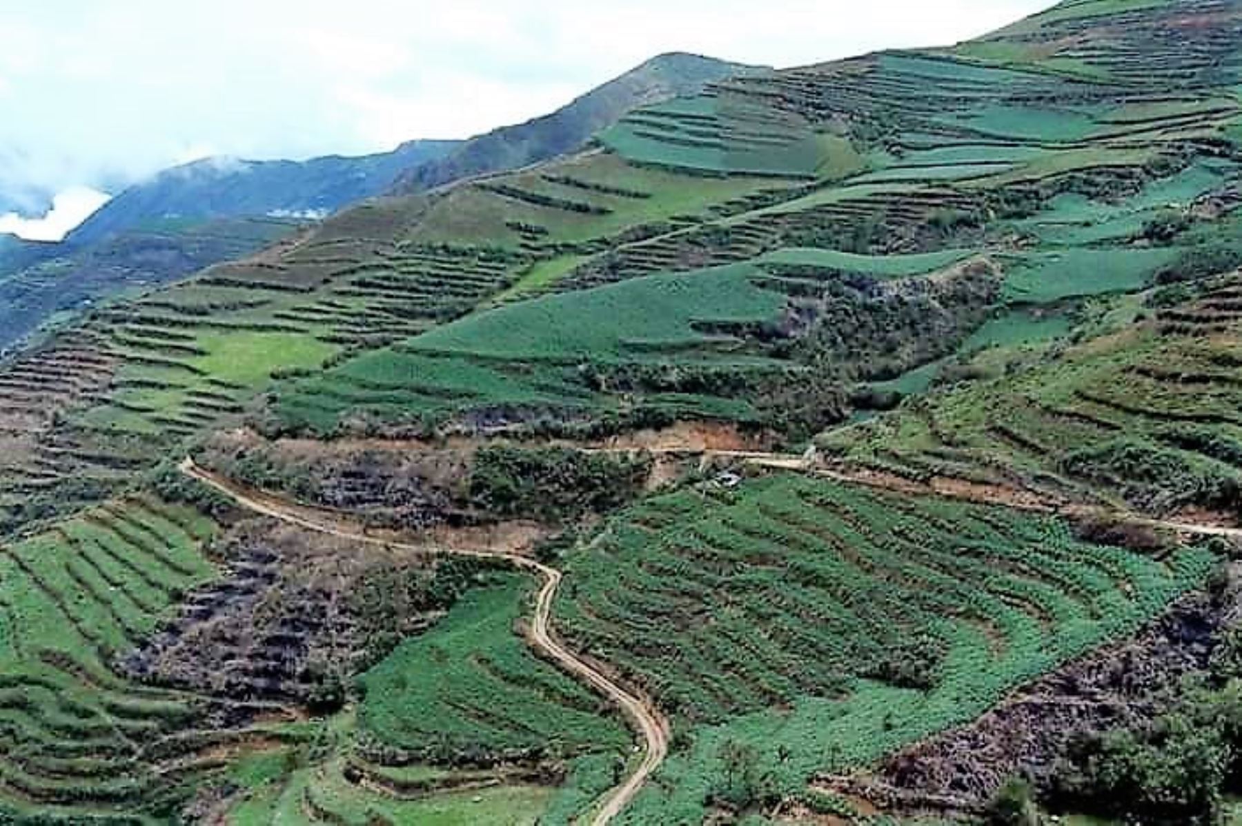 Zona agrícola en el distrito de Huasahuasi, provincia de Tarma.