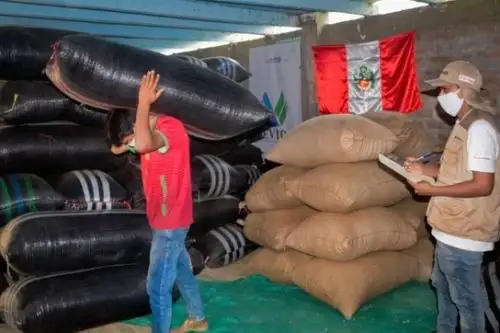 Caficultores del distrito de Anchihuay, región Ayacucho.