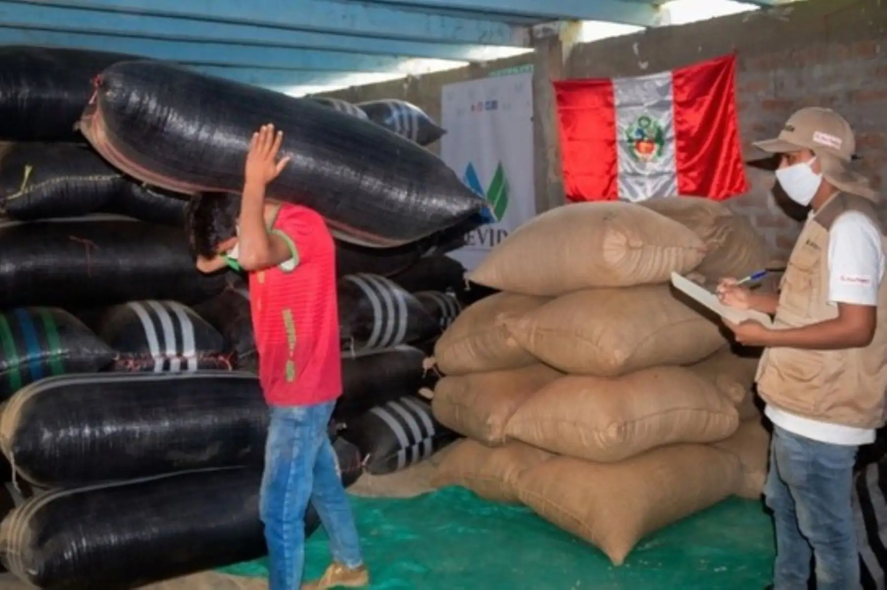 Caficultores del distrito de Anchihuay, región Ayacucho.
