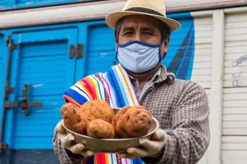 En el marco de la campaña “Adopta una tonelada de papa”, el Ministerio de Agricultura y Riego (Minagri), a través de Agro Rural, logró la venta de un total de 96.3 toneladas de este alimento a personas naturales, empresas privadas, entidades estatales y organizaciones sin fines de lucro con el objetivo de promover las iniciativas rurales de productores de diversas partes del país.