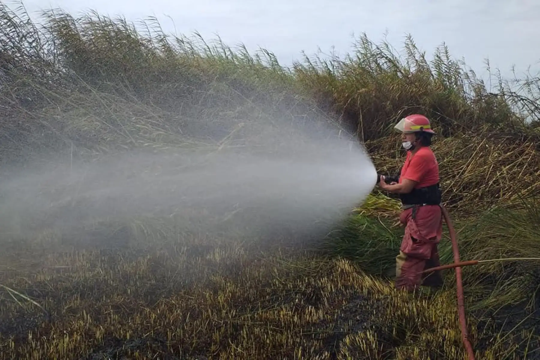 El COER Áncash reportó cinco incendios en las últimas 48 horas, cuatro de ellos forestales y uno urbano. Foto: ANDINA/Difusión