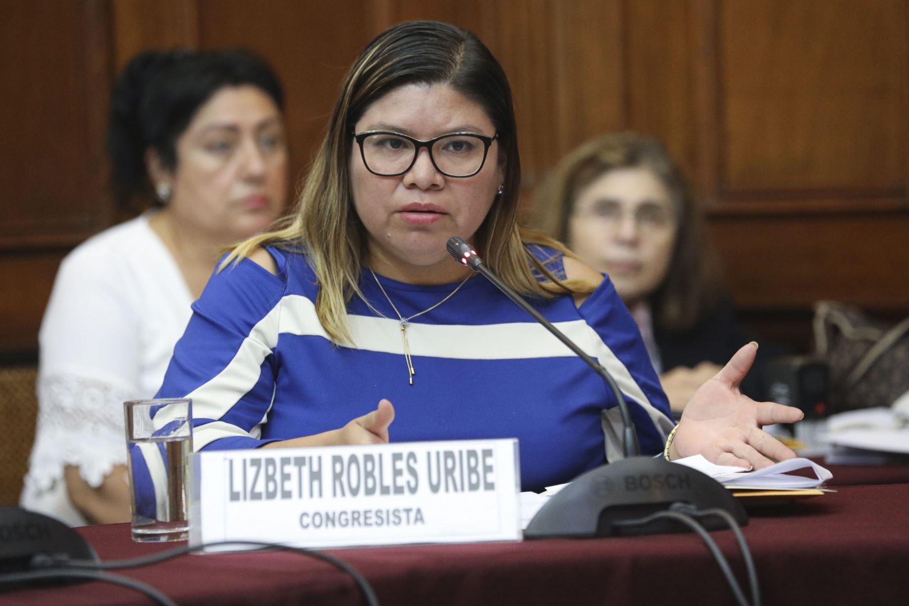 Excongresista Lizbeth Robles Uribe.