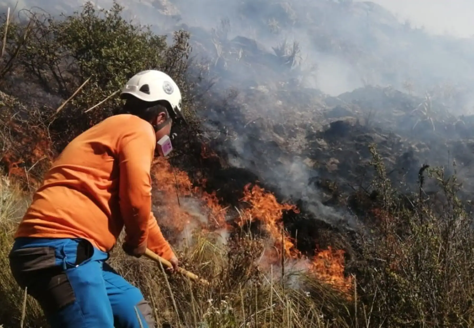 Según el Minam, el 98 % de los incendios forestales se originan por prácticas humanas. Foto: ANDINA/Difusión