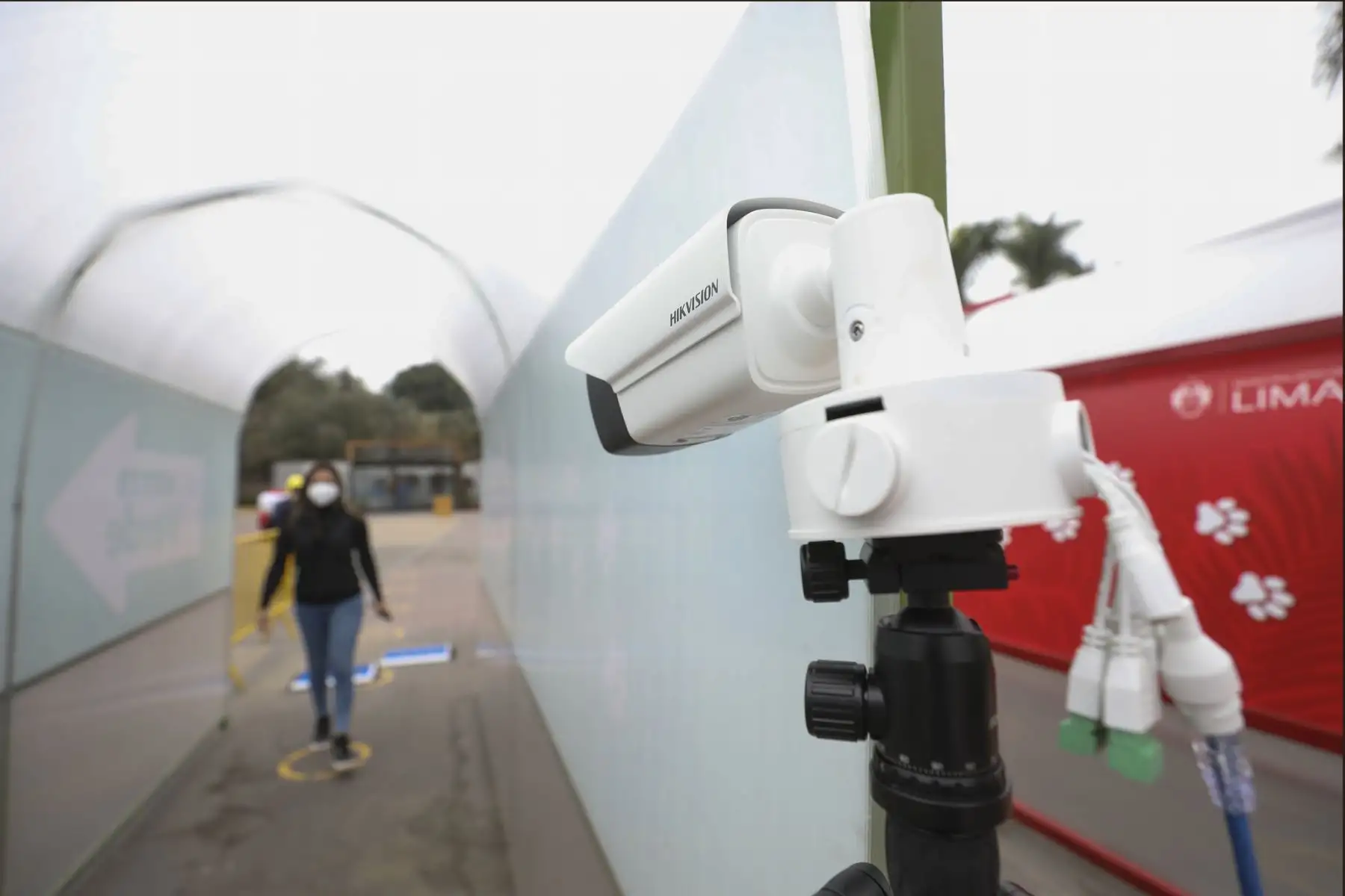 Parque de las Leyendas presenta protocolo de bioseguridad con miras a próxima reapertura.
Foto: Parque de las Leyendas Parque de las Leyendas presenta protocolo de bioseguridad con miras a próxima reapertura.
Foto: Parque de las Leyendas