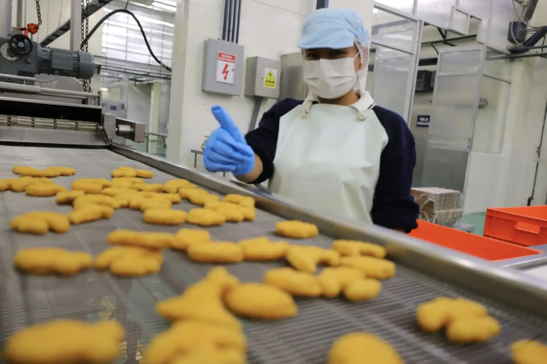 El ministro de la Producción, Jose Salardi, supervisó los servicios que ofrece el CITE pesquero Callao, que desde julio reactivó sus plantas de conservas y de pastas preformados, en servicio de las mypes pesqueras del país.Foto: Ministerio de la Producción