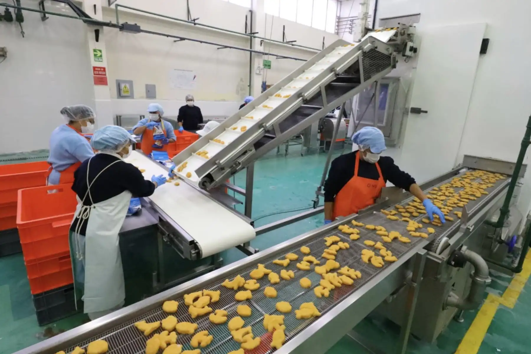 Actividad productiva en base al recurso pesquero. ANDINA/Prensa Presidencia