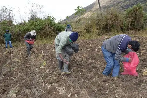 ANDINA/Difusión