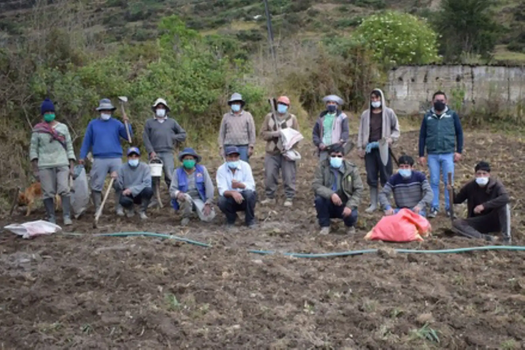Más de 20 familias de pequeños agricultores podrán multiplicar las semillas de calidad para incrementar la productividad en su cosecha y resguardar la seguridad alimentaria. Foto: ANDINA/Difusión