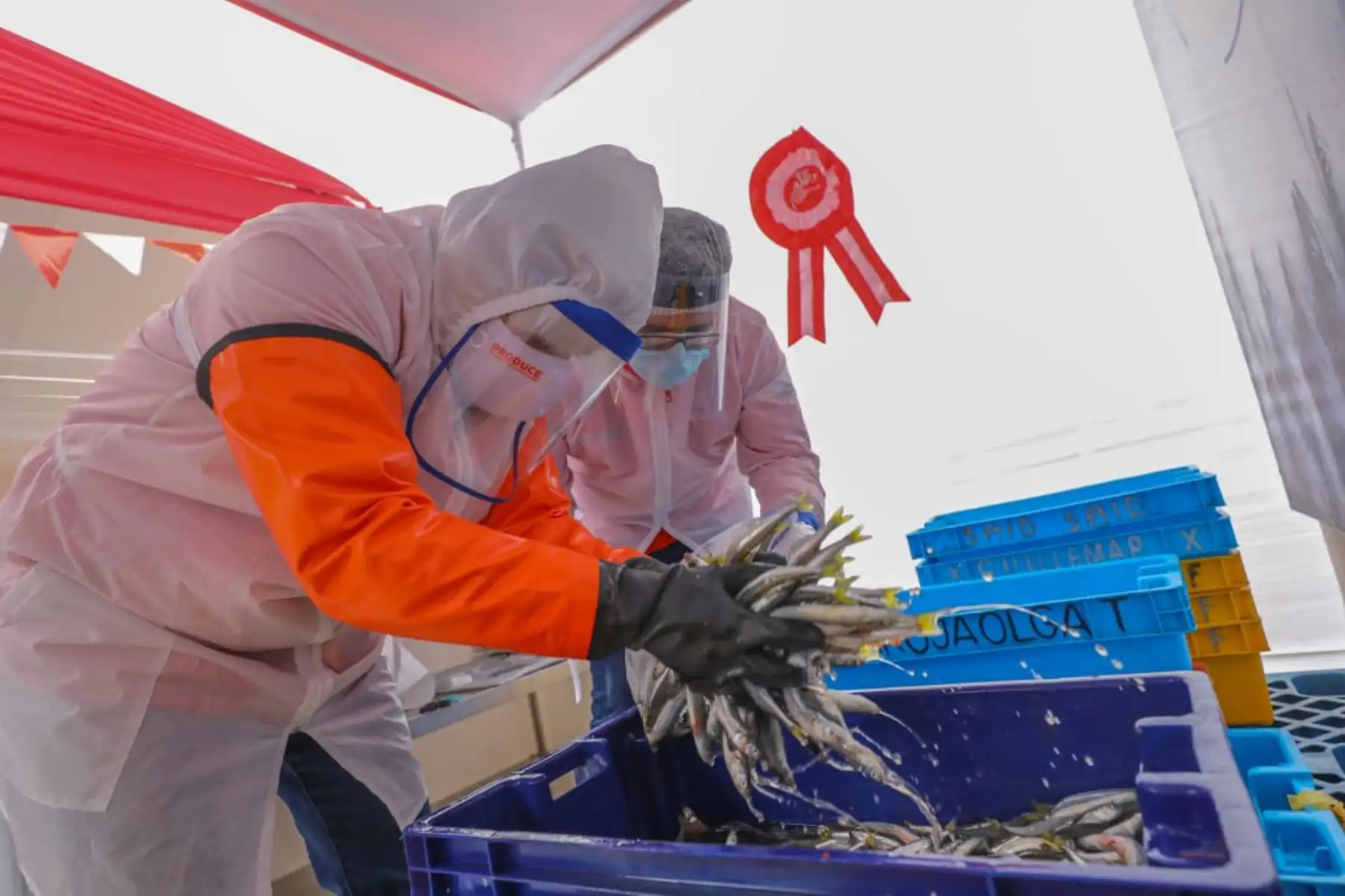 El Ministro de la Producción  José Salardi, junto al alcalde de la comuna y el congresista César Combina,dieron inicio a la feria "Mi Pescadería", que promueve la venta de pescado fresco y conservas a precios de promoción en Carabayllo.Foto:ANDINA/Producción