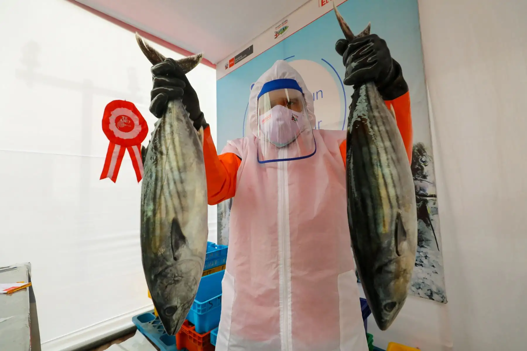 Ministro de la Producción, Jose Salardi da inicio a la feria "Mi Pescadería", que promueve la venta de pescado fresco y conservas a precios de promoción.

Foto:ANDINA/PRODUCCION