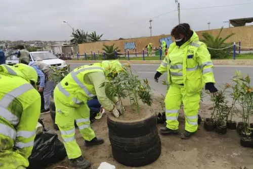 La actividad se realiza en el marco del plan de recuperación de cuerpos de agua de la Zona de Reglamentación Especial de los Pantanos de Villa. ANDINA/Municipalidad de Lima