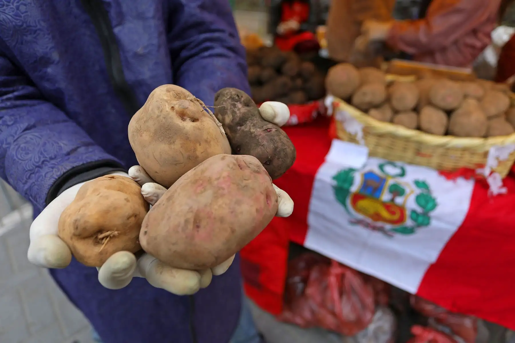 Mercado productivo " De la chacra a la olla" brinda productos en  la sede del Legado complejo deportivo del populoso distrito de Villa Maria del Triunfo.
Foto:ANDINA/Legado