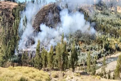 La mayor cantidad de incendios durante abril y julio se presentaron en Áncash (39), seguido de Pasco (28), Puno (19), Cusco (17), Amazonas (15), Junín (11), Apurímac (10), Huánuco (9), San Martin (8), Ayacucho (7), Cajamarca (6), Huancavelica (5), Loreto (4), Arequipa (4), Madre de Dios (3), Lima (2), Tacna (2) y Ucayali (1).ANDINA/Difusión