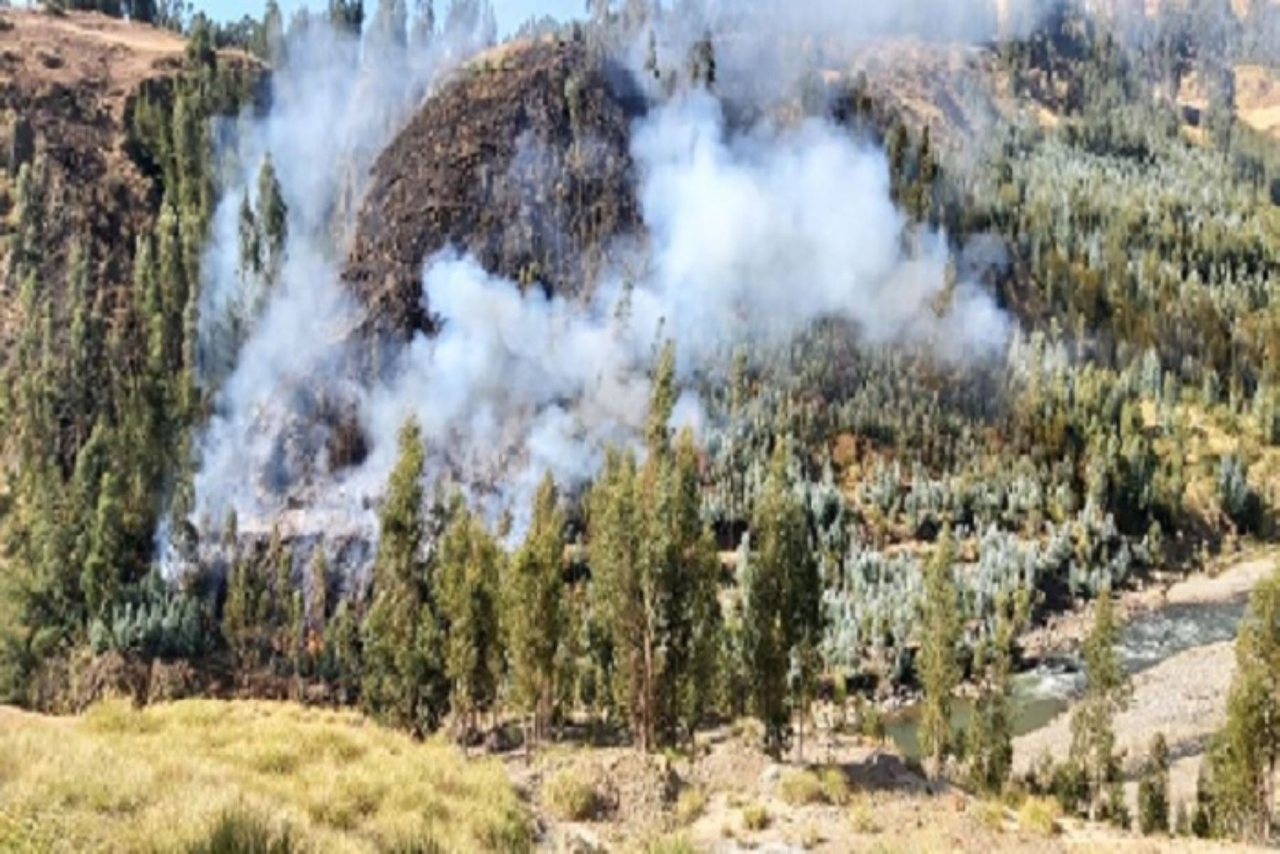 La mayor cantidad de incendios durante abril y julio se presentaron en Áncash (39), seguido de Pasco (28), Puno (19), Cusco (17), Amazonas (15), Junín (11), Apurímac (10), Huánuco (9), San Martin (8), Ayacucho (7), Cajamarca (6), Huancavelica (5), Loreto (4), Arequipa (4), Madre de Dios (3), Lima (2), Tacna (2) y Ucayali (1).ANDINA/Difusión