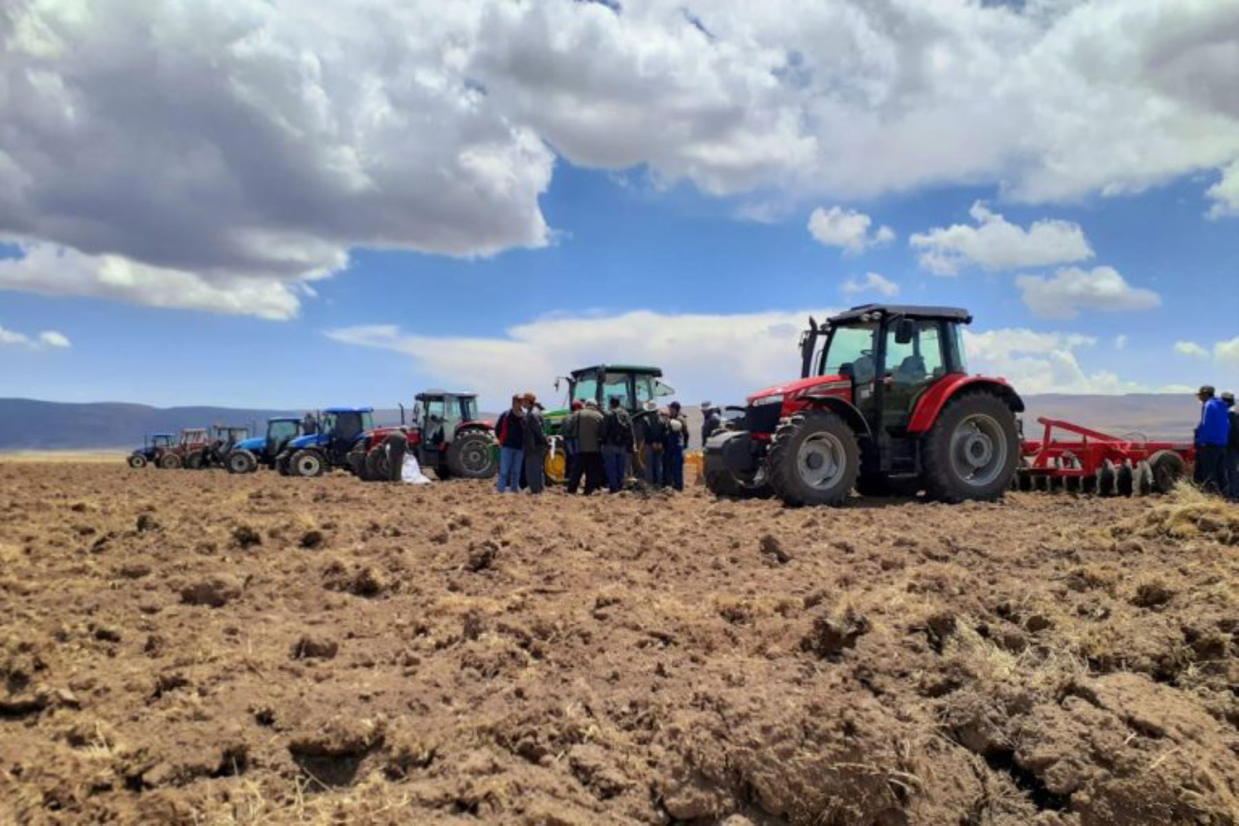 Agro Rural instalará 128,835 hectáreas de pastos cultivados en 805 distritos (157 provincias). Foto: ANDINA/Difusión